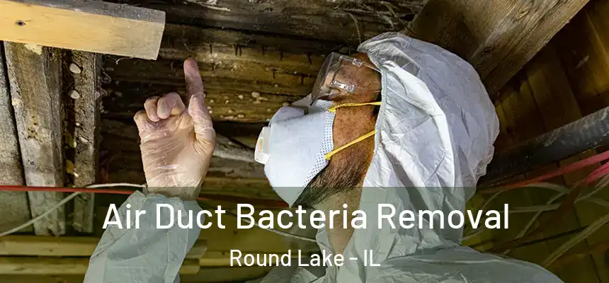  Air Duct Bacteria Removal Round Lake - IL