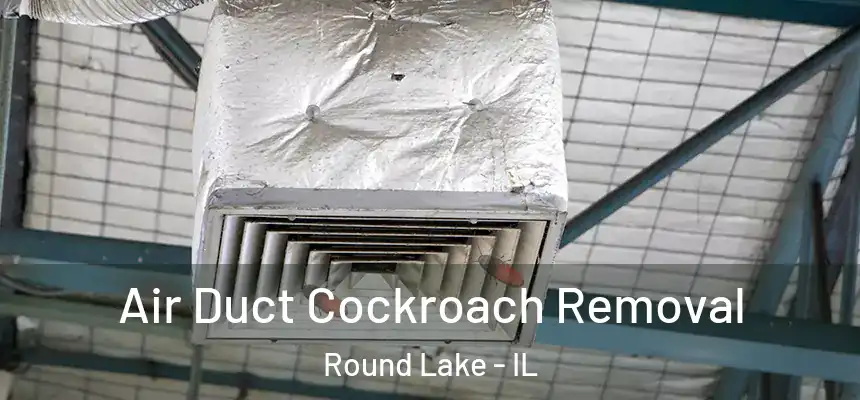 Air Duct Cockroach Removal Round Lake - IL