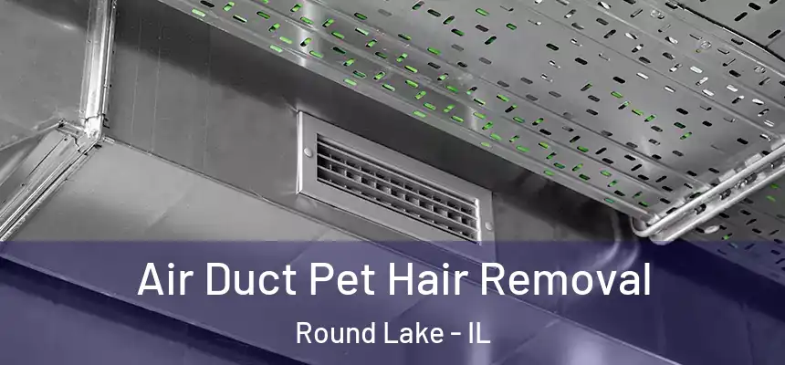  Air Duct Pet Hair Removal Round Lake - IL