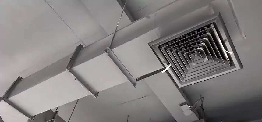 Our Pest Removal From Ducts Services in Round Lake, IL