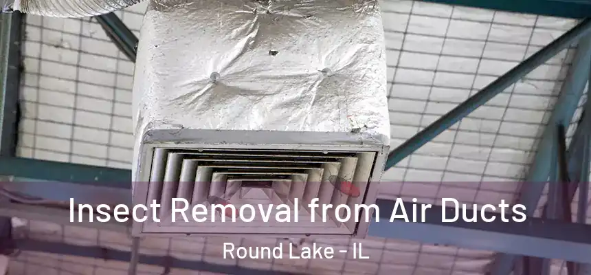  Insect Removal from Air Ducts Round Lake - IL