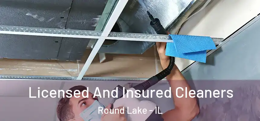  Licensed And Insured Cleaners Round Lake - IL