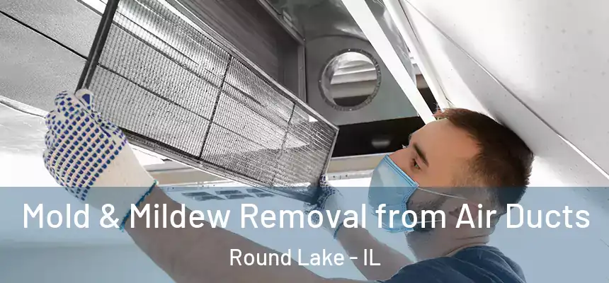 Mold & Mildew Removal from Air Ducts Round Lake - IL