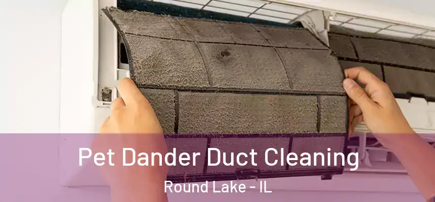  Pet Dander Duct Cleaning Round Lake - IL
