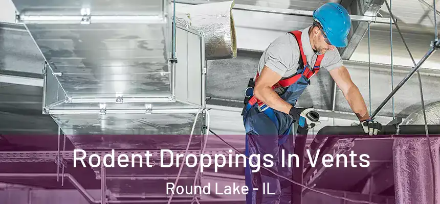 Rodent Droppings In Vents Round Lake - IL