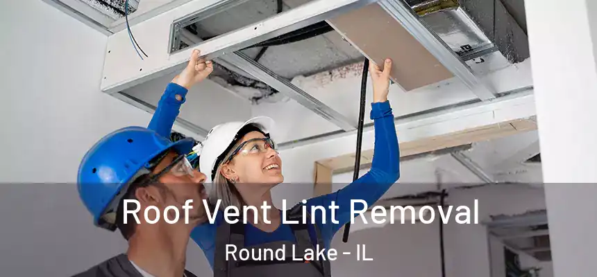 Roof Vent Lint Removal Round Lake - IL