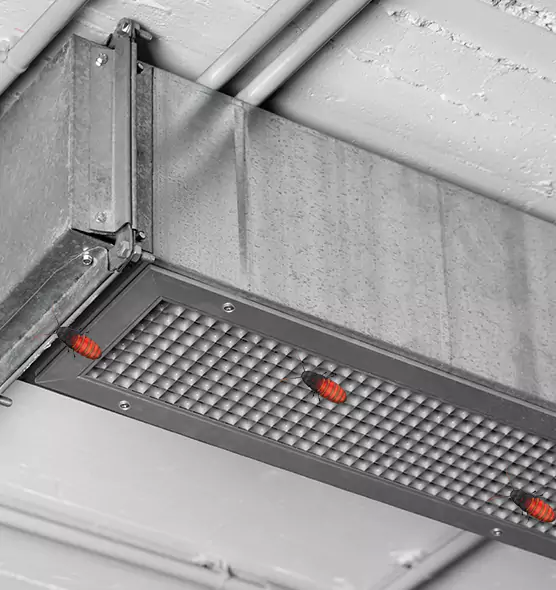 About Air Duct Cockroach Removal in Round Lake, IL