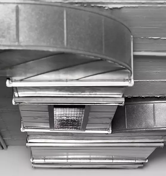 Professional Air Duct Pest Removal in Round Lake, IL