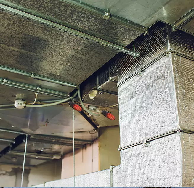 Why Homeowners & Businesses Trust Us in Round Lake, IL?