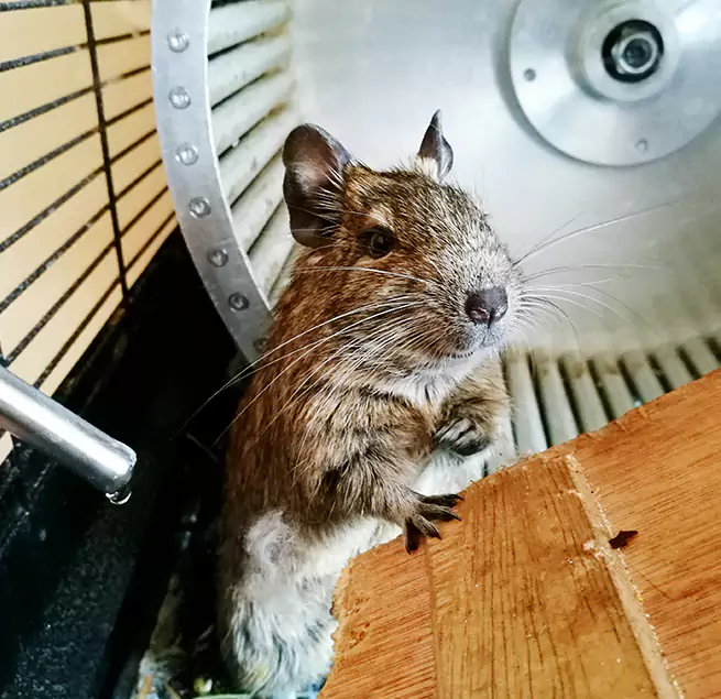 Why Homeowners & Businesses Trust Us Round Lake, IL?