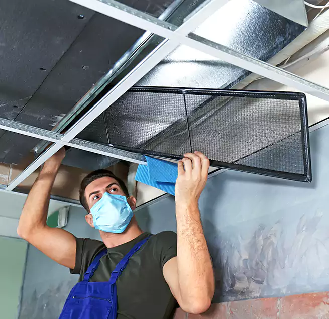 Why Homeowners Businesses Trust Us in Round Lake, IL