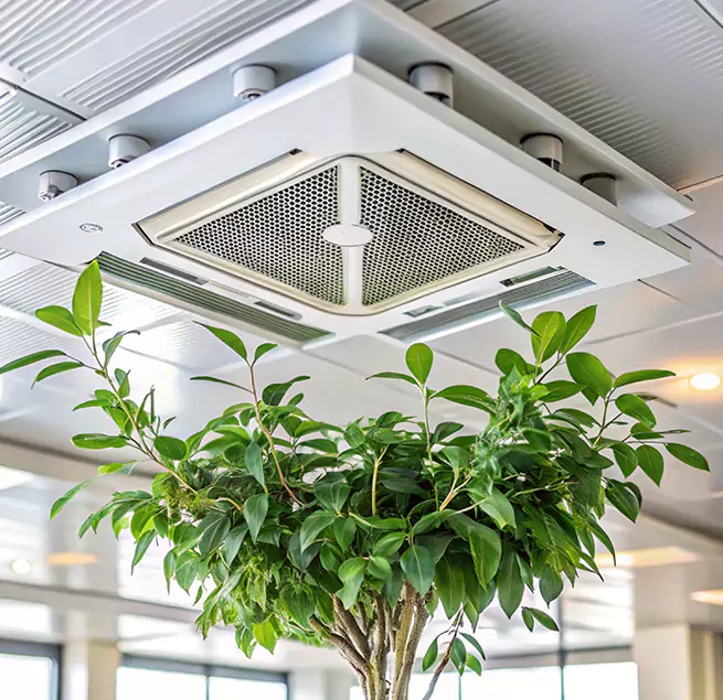 Why Homeowners & Businesses Trust Us in Round Lake, IL?