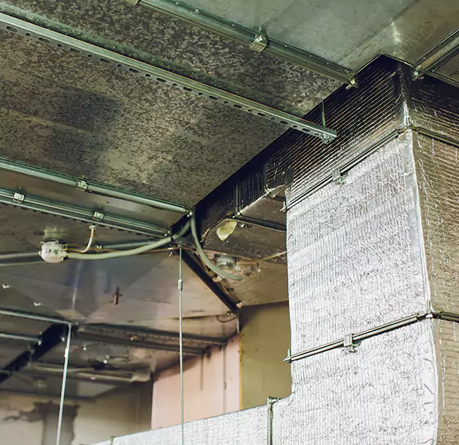 Why Homeowners & Businesses Trust Us in Round Lake, IL?